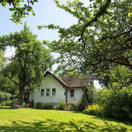 Ferienhaus Am Alten Bahndamm Waldsassen Exteriér fotografie